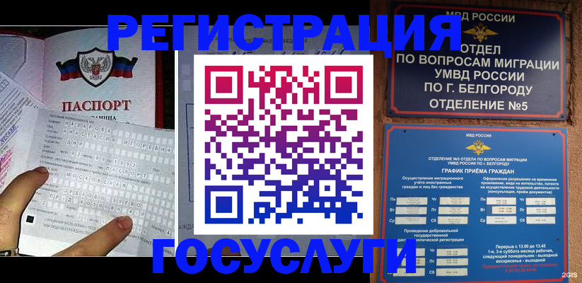 временная регистрация в квартире в Новгородской области